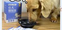 怎麽吃对狗狗关节与骨骼健康最好？饲养长毛腊肠一定要知道的骨 骼与关节保健！｜宠物