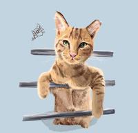 《插画》小屁猫，来找你玩了