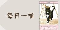 【每日一喵】猫咪大师：天生的航海猫「特里姆」(Trim)