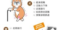 犬猫退化性关节炎症状