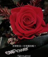 关系探讨|你常对另一半有期待吗