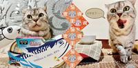 惜时SEEDS鲭食家炖汤猫罐_喵喵猫开箱�