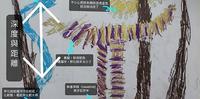 0~6岁儿童绘画发展阶段懒人包:从涂鸦、画人到画其他事物,展现不同层次的握姿、知觉与认知成熟度!