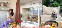 和毛小孩一起Cafe Hopping！雪隆13间「Pet-Friendly咖啡厅」推荐，这周末和它说Let‘s go！