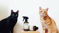 [喵の周边]路易猫砂。LOUIS凤梨酵素×猫砂盆专用清洁慕斯。天然ㄟ尚好!