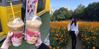 好想念韩国?5个韩国人的必吃必玩行程