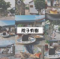 绿岛咖啡厅院子有树