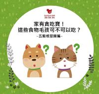 家有贪吃宝!这些食物毛孩可不可以吃?–五谷根茎类篇