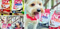 【宠物?食】Farmina法米纳｜天然藜麦无谷机能系列『犬用饲料』 x 来自义大利有机农场的无谷天然粮推荐 !
