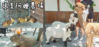 宜兰旅游。张美阿嬷农场 三星乡日式小农场 超萌水豚君、笑笑羊、草泥马还有可爱迷你袋鼠