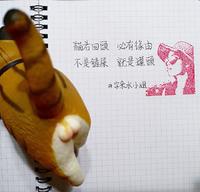 猫若回头,必有缘由。不是铲屎,就是罐头。