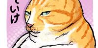 《插画》不要惹猫咪不爽
