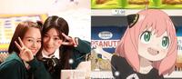 2022上半年日本流行语大赏出炉！「安妮亚」、「浪花男子」名言皆上榜，其中一个居然与韩国有关？