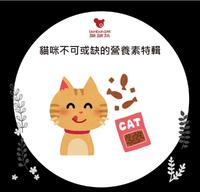 猫咪不可或缺的营养素特辑