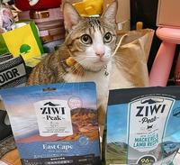 猫饲料推荐│ZIWI巅峰鲜肉猫粮-顶极又好吃饲料，太夸张了，我家发糕唯一不挑食的品牌!居然一转眼就吃到见底了..