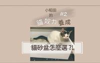 猫砂盆怎麽挑 三步骤检验你的猫砂盆合格吗 !