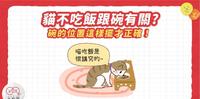 【猫皇竟不吃饭?碗放对了没??】