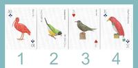 【占卜测验】选一只小鸟，测近期的运势提点有哪些？-《Birds:PlayingCards》4选1