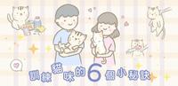 #毛孩知识分享猫咪教养篇