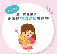 差一点差很多~正确的抱猫姿势看过来