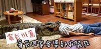 电影推荐｜改编自真人真事，超可爱的日本电影《每天回家老婆都在装死》看似无厘头但超温馨