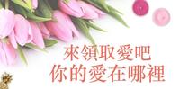 ?能量绘图占卜?你的爱在哪里？?Timeless?