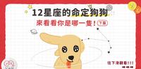【毛孩测验??来看看你的12星座命定狗狗是谁?(下集)】