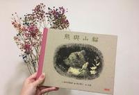 接受死亡是人生常态｜绘本《熊与山猫》