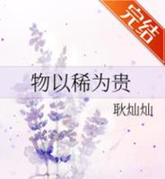 BG古言穿越小说-《物以稀为贵》作者：耿灿灿