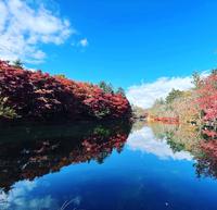 轻井泽 经典赏枫圣地