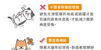保养猫猫与狗狗的关节
