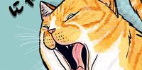 《插画》猫吉拉来了！即将上映