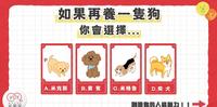 【想养哪只狗狗？ 揭开你的隐藏人格魅力！】