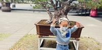 育儿日记彰化县一日游