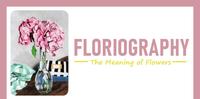 【每日花语】绣球花(Hydrangea)：冷酷、无情、团聚、美满-《Floriography》