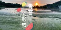 【青苔的形成】