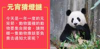 【元宵猜灯谜】什麽动物最废？熊猫的心愿？2021十大动物灯谜大集合！