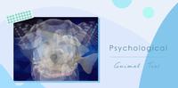 【心理测验】日本超准「第一眼看见的动物」测性格，你拥有什麽特质呢？