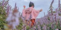 【国内∣旅游】2021桃园仙草花节杨梅休闲农业区愈风仙境，漫步在紫色花海，好浪漫
