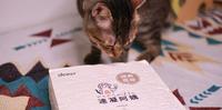 打造你家猫咪的专属厕所！喵星人的新选择—豆腐砂