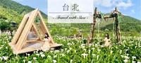 台北｜阳明山海芋季开跑，想看超仙白色花海就趁现在！