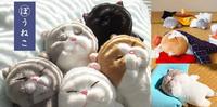 日本「棒猫ぼうねこ」,躺成一根的可爱睡姿,让猫奴真想狂吸,可爱玩偶品牌推荐。
