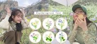 最新爆红「花束心理测验」:选你最喜欢的花,揭露你「内心腹黑程度」!看起来像好人,实则?
