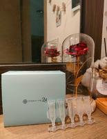 Dermacare28锁水磁石高效保湿安瓶(天使瓶)