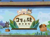 《嘉义亲子景点》三只小猪观光农场溜滑梯  大型草原