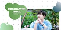 原来牡羊座的动物代表是小猪!12星座的性格代表动物大公开(上)