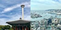 釜山景点釜山塔一览港都风景,南浦洞人气蔘鸡汤