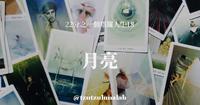 22个塔罗人生,照见自我|18月亮:灵魂暗夜,生命的打击与馈赠