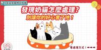 【想帮助路边的小奶猫???♂?一定要看这篇?】