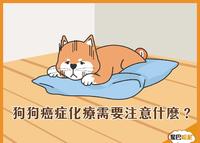 与狗狗对抗癌症
